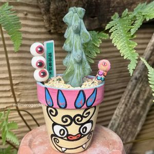 子持ち蓮華,カリシア,福禄竜神木,多肉植物,リメ鉢の画像