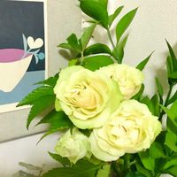 お花を楽しむ,ばら バラ 薔薇,部屋の画像