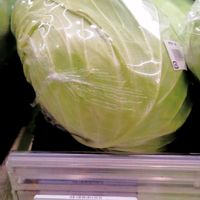 キャベツの画像