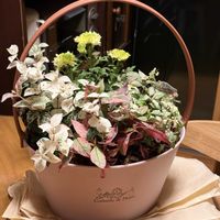 キッチン,玄関アプローチの画像