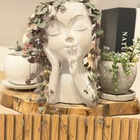 ハートカズラ,ハートカズラ斑入り《レディハート》,観葉植物のある暮らし,オシャレ観葉,リビング・ダイニングの画像