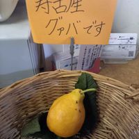 グァバの画像