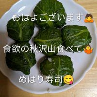 ススキ,色々お花,我が家の庭,昨夜の一品の画像