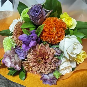 ガーデニング,ナチュラルガーデン,手作りの庭,花のある暮らし,ナチュラルスタイルの画像