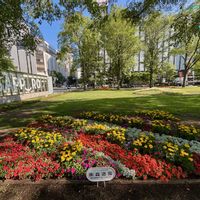 インパチェンス,札幌大通り公園の画像