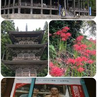 コスモス,ヒガンバナ,旅の記録,立石寺,慈恩寺の画像