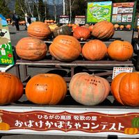 かぼちゃの画像