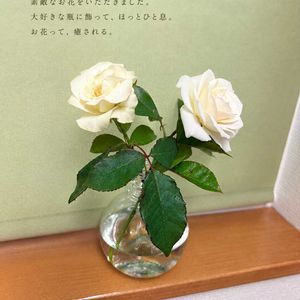 キッチンの画像