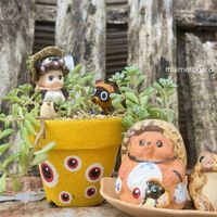 ホトトギス,つぶつぶ屋さん　小梅,アエオニウム属,KOHリメ鉢,金曜日の蕾たちの画像