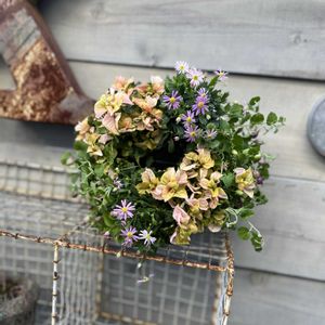 パープルクランベリー,アルテルナンテラ ファニードレス,ブラキカム　チェリーブロッサム,寄せ植え,リースの画像