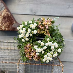寄せ植え,リース,ガーデニング,今日の一枚,花のある暮らしの画像