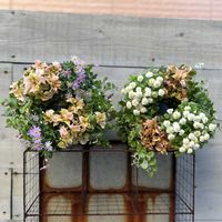 寄せ植え,リース,ガーデニング,今日の一枚,花のある暮らしの画像