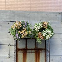 寄せ植え,リース,ガーデニング,今日の一枚,花のある暮らしの画像