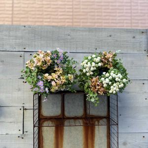 寄せ植え,リース,ガーデニング,今日の一枚,花のある暮らしの画像