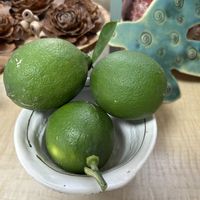 レモン,ナンキンハゼの実の画像