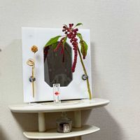 セロシア（鶏頭）,花言葉,花のある暮らし,誕生花,GS映えの画像