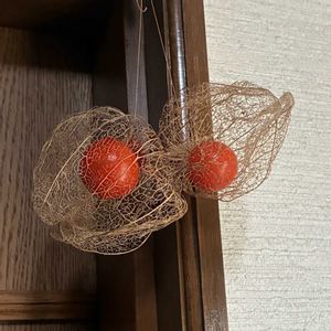 ホタルブクロ,透かしホオズキ,透かしホオズキ,スケルトン,鬼灯(ほおずき)の画像