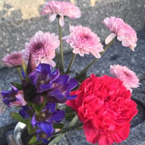 カーネーション,リンドウ,スプレーマム,仏花,お墓参りの画像