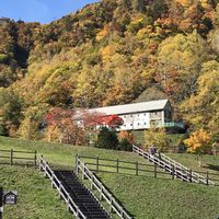 花のある暮らし,小さな幸せ♡,札幌の画像