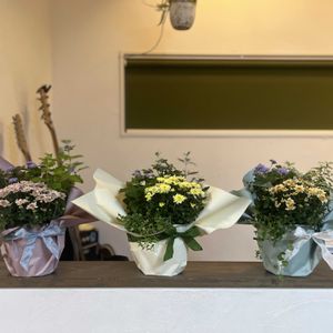 寄せ植え,花束,今日の一枚,花のある暮らし,贈り物の画像