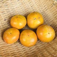 カキ,癒し,笑顔になれる♪,畑の画像