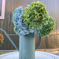 アジサイ,リース,花のある暮らし,岩手県,季節を感じる暮らしの画像