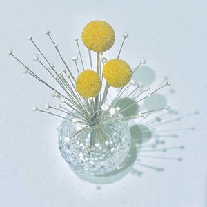 白玉星草,クラスペディア ゴールドスティック,グラス ぺディア,観葉植物,ドライフラワーの画像