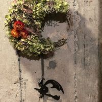 ドライフラワー,リース,紫陽花 アジサイ あじさい,秋の気配,ハロウィンの画像