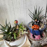 十二の巻,全国オヤジ連合会,十二の日,ハロウィン月間,全国オヤジ連合会№100の画像