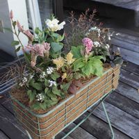 寄せ植えの画像
