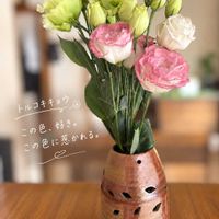 トルコキキョウ,玄関内側の画像