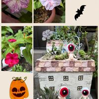 オシロイバナ,十二の巻,多肉植物,ありがとう♡,多肉女子の画像