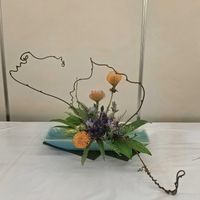 ドラセナ,リンドウ,タマシダ,ピンクッション,キウイつるの画像
