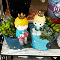 多肉植物の寄せ植え,多肉植物,多肉中毒,ベランダ多肉,yu-yu-.寄せ植えの画像