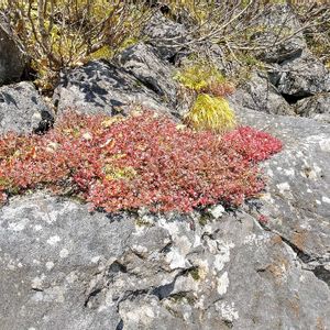 お散歩,お出かけ先の画像
