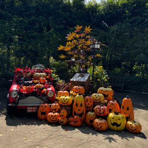 ハロウィン,横浜イングリッシュガーデン,お出かけ先の画像