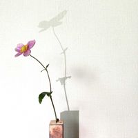 秋明菊,秋明菊,一輪挿し,花瓶,山野草の画像