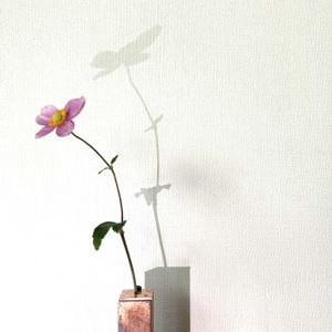 秋明菊,秋明菊,一輪挿し,花瓶,山野草の画像