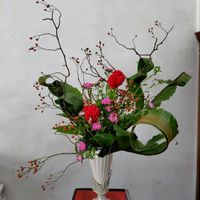 アスター,ケイトウ,フジバカマ,レモングラス,タニワタリの画像