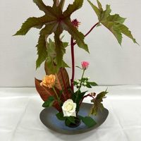 バラ,フィロデンドロン,ベニヒマ,ピペリカム,生け花の画像
