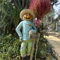 カボチャボーイ,マイガーデン,花のある暮らし,秋晴れ,コキアのほうきの画像
