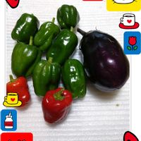 ピーマン,茄子,茄子の栽培,ピーマンの栽培,茄子の収穫の画像