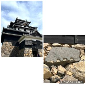 タブノキ,スダジイ,国宝 松江城,旅の思い出♡,石の日の画像