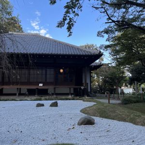ヤマザクラ,石の日の画像