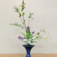 ナデシコ,ユキヤナギ,リンドウ,タマシダ,丸葉ルスカスの画像