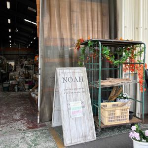 籐のかご,ガーデン雑貨♡,オシャレな鉢。,雑貨,ランプの画像