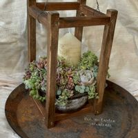 多肉植物,多肉寄せ植え,no green no life,植物のある暮らし,多肉植物のある暮らしの画像