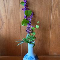 花瓶,投げ入れ,花のある暮らし,植物のある暮らし,花瓶の花の画像