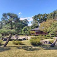 三十三間堂,日本庭園,京都,晴れ女,二条城の画像