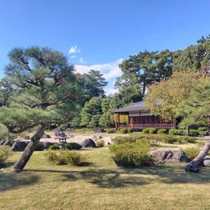 三十三間堂,日本庭園,京都,晴れ女,二条城の画像